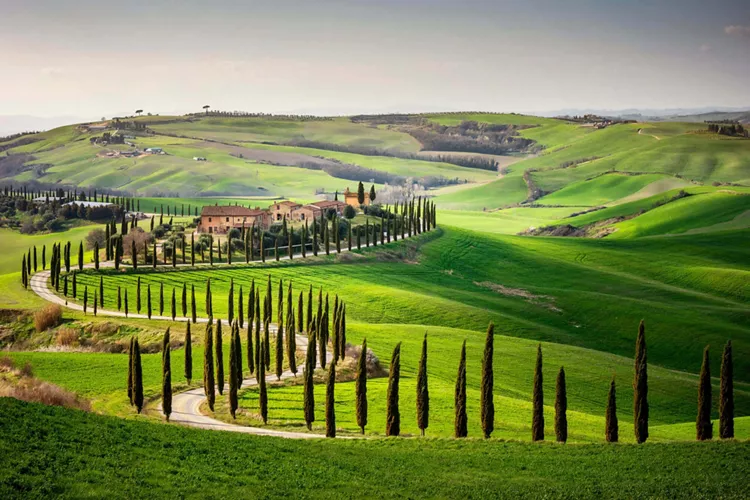 Val d'Orcia e Montalcino